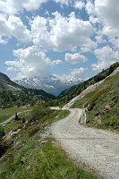 1- La sterrata per il rifugio Pizzini